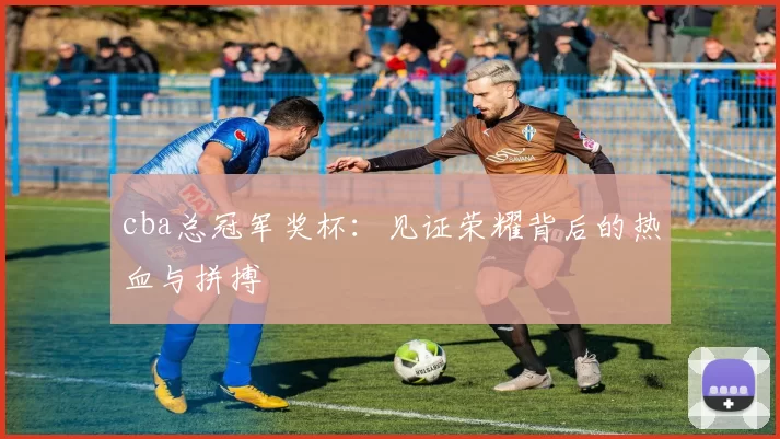 cba总冠军奖杯：见证荣耀背后的热血与拼搏