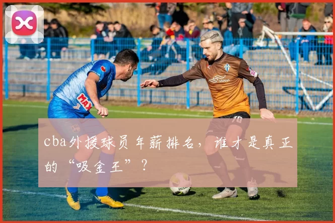 cba外援球员年薪排名，谁才是真正的“吸金王”？